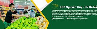 Công Ty Tnhh Xnk Trường Việt