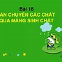 Màng Sinh Chất Có Cấu Trúc Động Là Nhờ