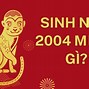 Tuổi Thân 2004 Năm 2024 Hợp Với Màu Gì